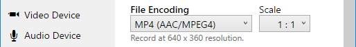 Video file encoding settings.